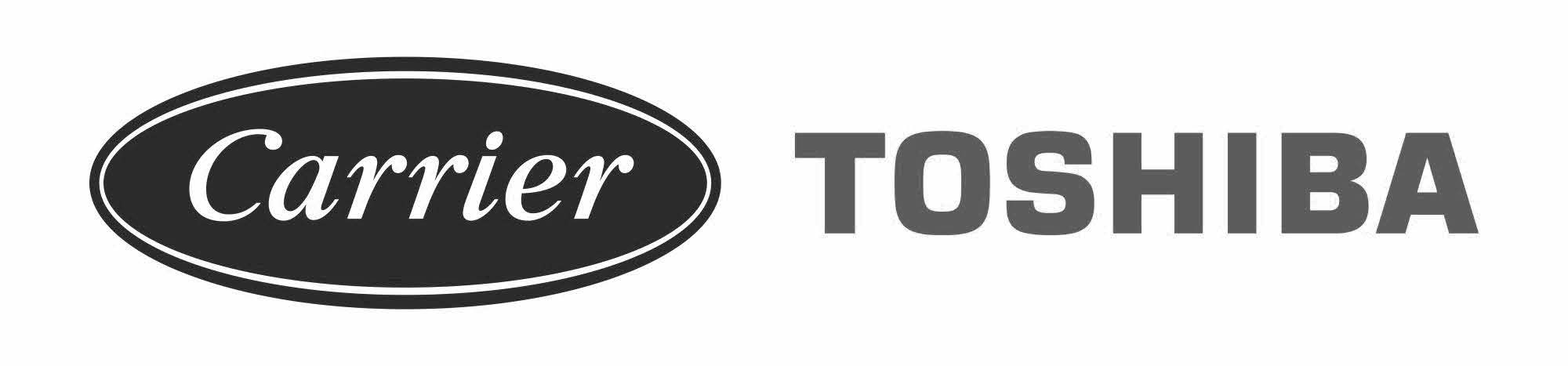 Carrier Toshiba
